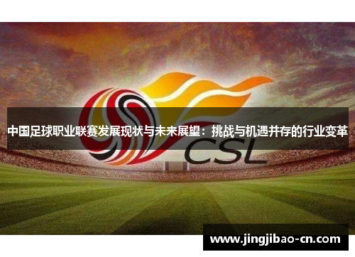 中国足球职业联赛发展现状与未来展望：挑战与机遇并存的行业变革